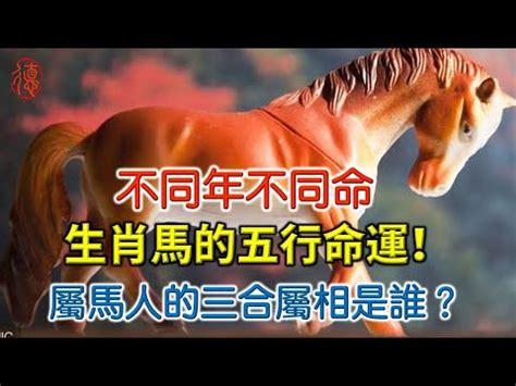 1978馬五行|1978年出生的屬馬人什麼命格？准到爆！